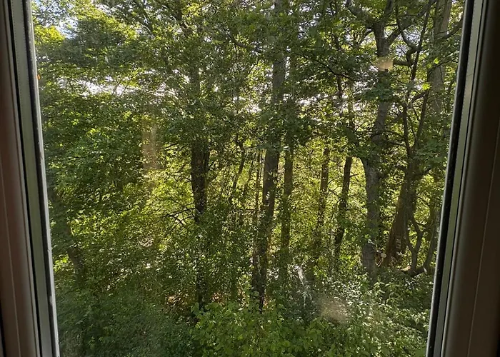 Alston Hostel بيت شباب ألستون